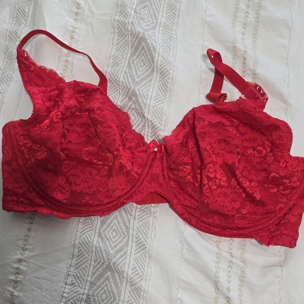 Hips & Curves 42DD underwire bra